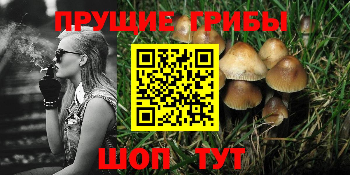 Псилоцибиновые грибы GOLDEN TEACHER Орехово-Зуево